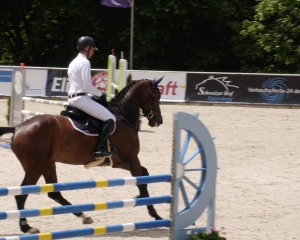 Reitturnier Karlsfeld/Obb. 2023
