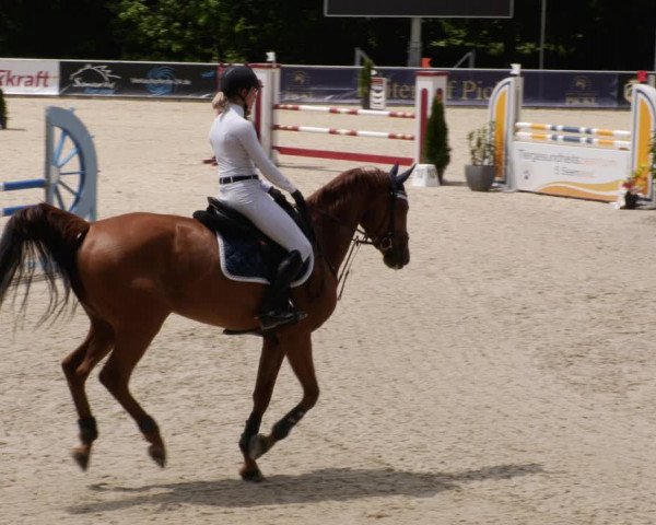 Reitturnier Karlsfeld/Obb. 2023