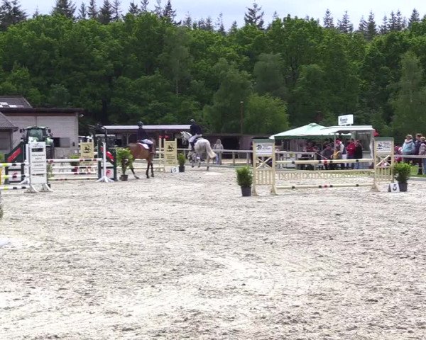 Reitturnier Kropp 2023