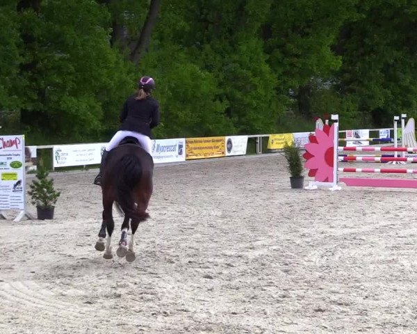 Reitturnier Kropp 2023