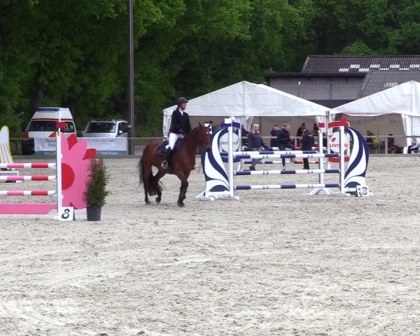 Reitturnier Kropp 2023