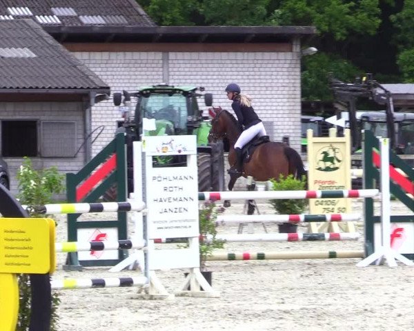 Reitturnier Kropp 2023