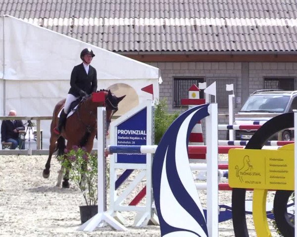 Reitturnier Kropp 2023