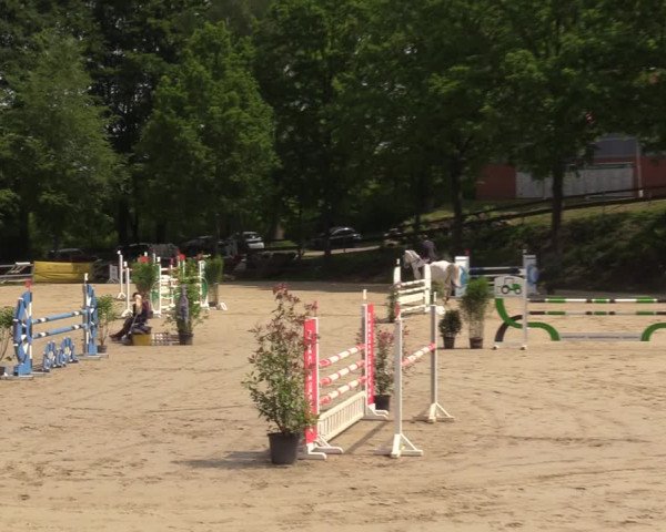 Reitturnier Iserlohn-Kalthof 2023