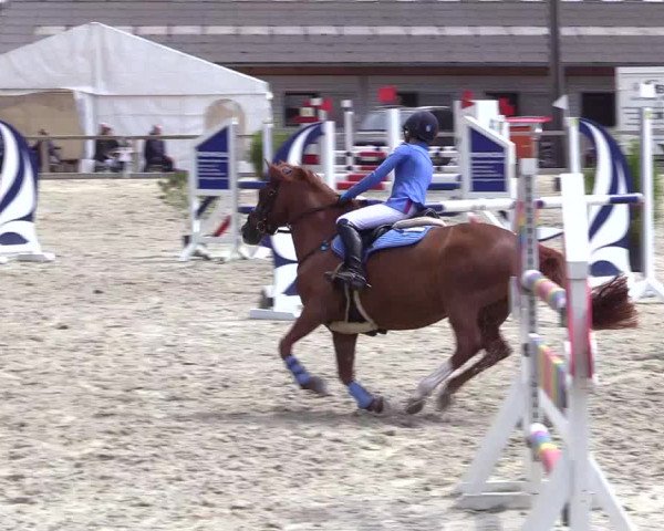 Reitturnier Kropp 2023