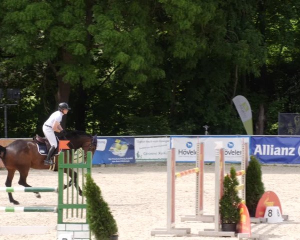 Reitturnier Karlsfeld/Obb. 2023