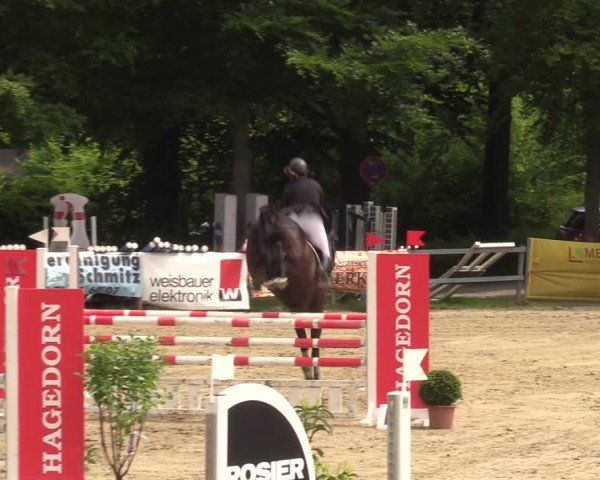 Reitturnier Iserlohn-Kalthof 2023