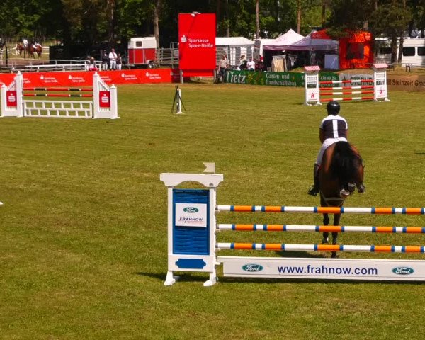 Reitturnier Cottbus-Sielow 2023