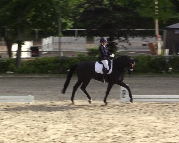 Reitturnier Bochum 2023