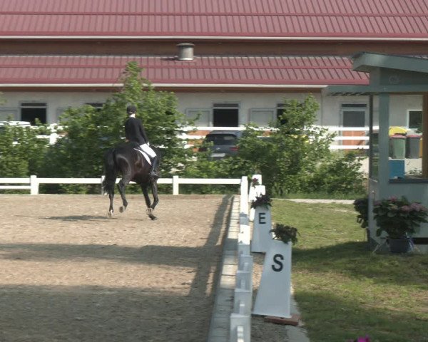 Reitturnier Kreuttal - Frey Horses 2023