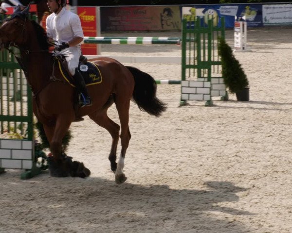 Reitturnier Karlsfeld/Obb. 2023