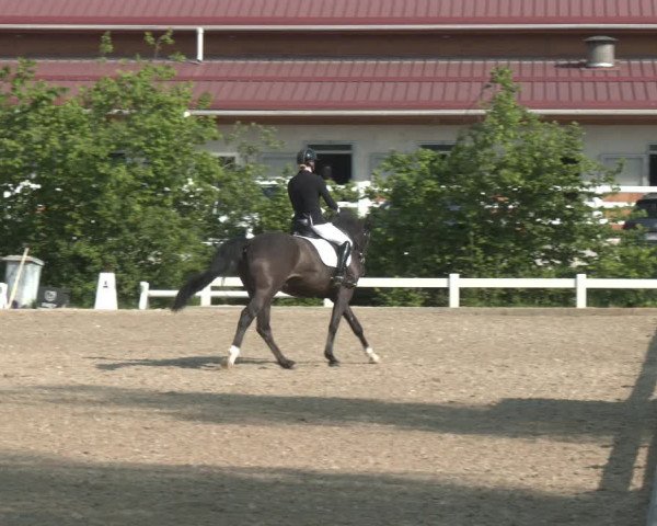 Reitturnier Kreuttal - Frey Horses 2023