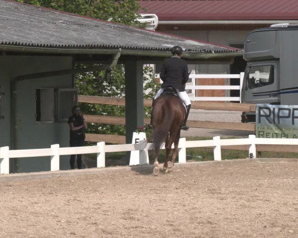Reitturnier Kreuttal - Frey Horses 2023