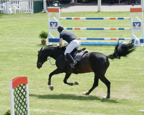 Reitturnier Forst 2023