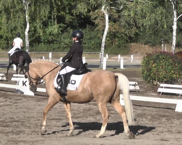 Reitturnier Forst 2021