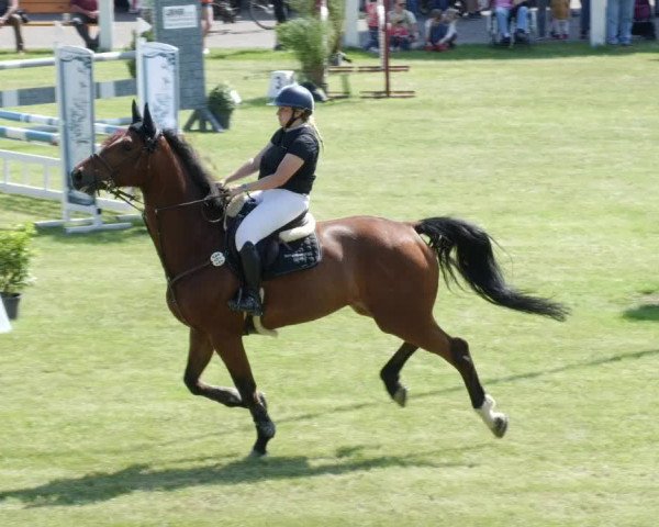 Reitturnier Forst 2023