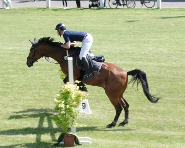 Reitturnier Forst 2023