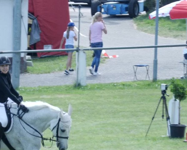 Reitturnier Forst 2023