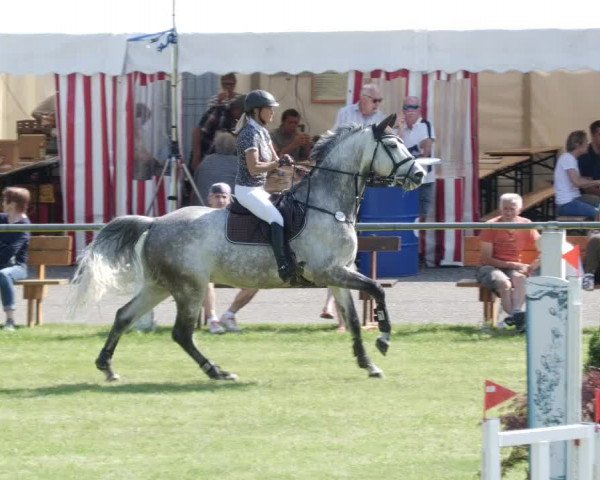 Reitturnier Forst 2023