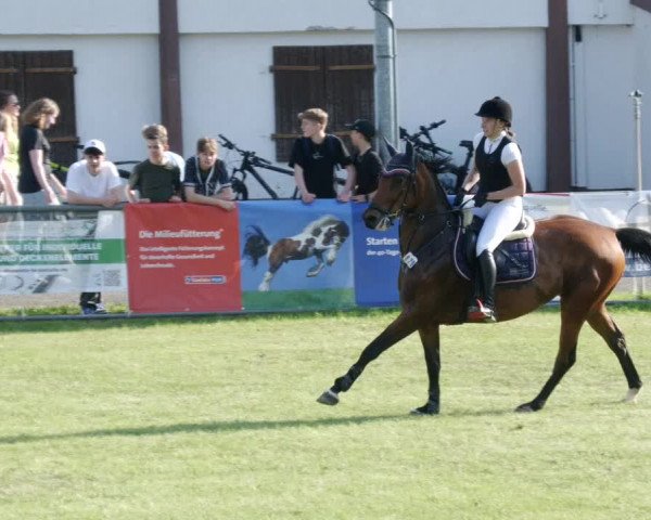 Reitturnier Forst 2023