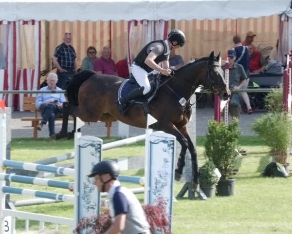 Reitturnier Forst 2023