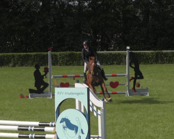 Reitturnier Westeregeln 2023