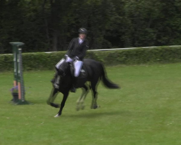 Reitturnier Westeregeln 2023