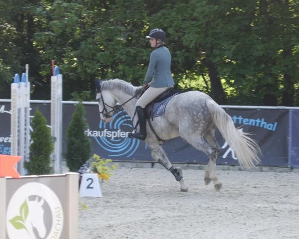 Reitturnier Karlsfeld/Obb. 2023