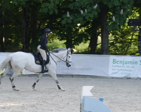 Reitturnier Karlsfeld/Obb. 2023