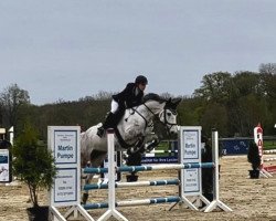jumper Groot Meisikin (Hanoverian, 2012, from Grey Top)
