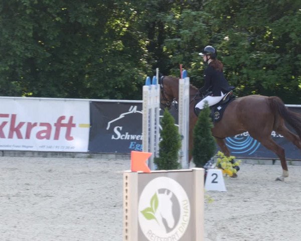 Reitturnier Karlsfeld/Obb. 2023