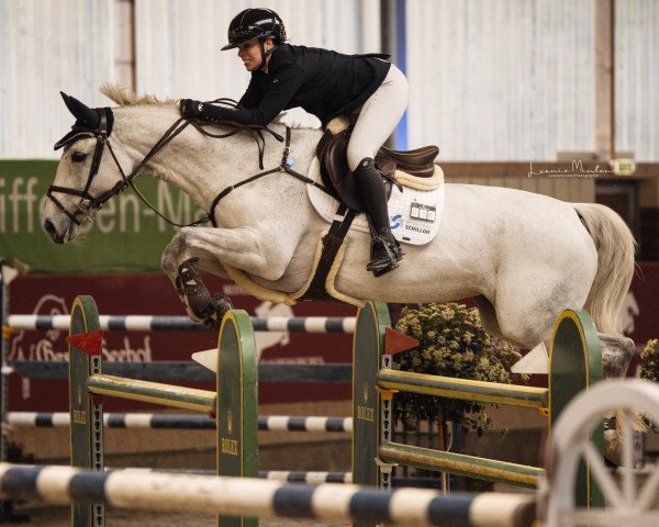 broodmare Annouck (Rhinelander, 2012, from Arpeggio)