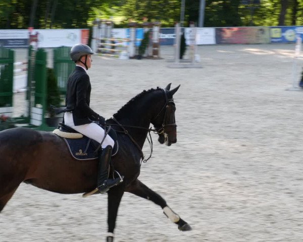 Reitturnier Karlsfeld/Obb. 2023