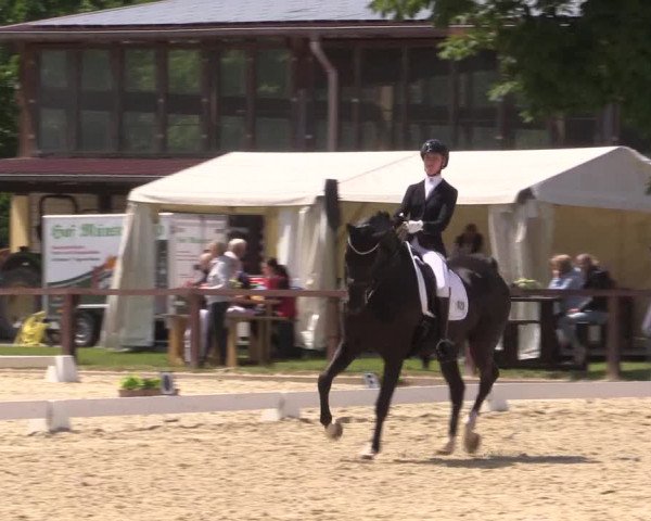 Reitturnier Everswinkel 2023