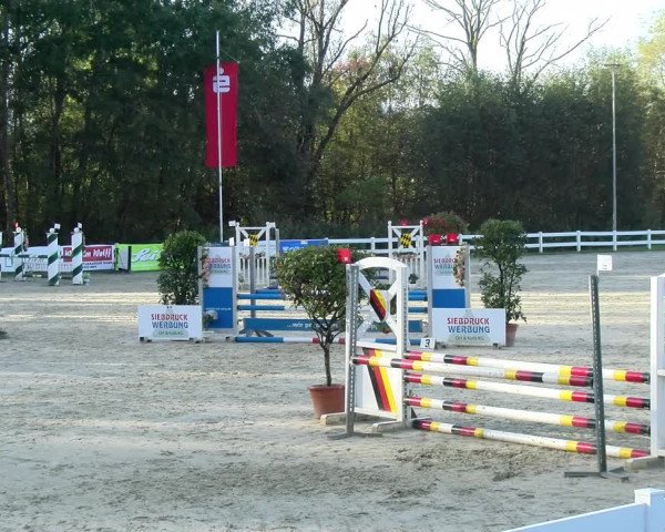 Reitturnier Isny-Rohrdorf 2021