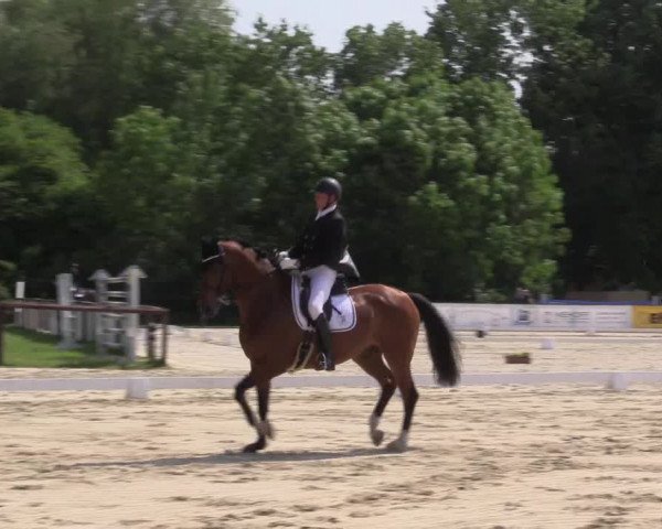 Reitturnier Everswinkel 2023