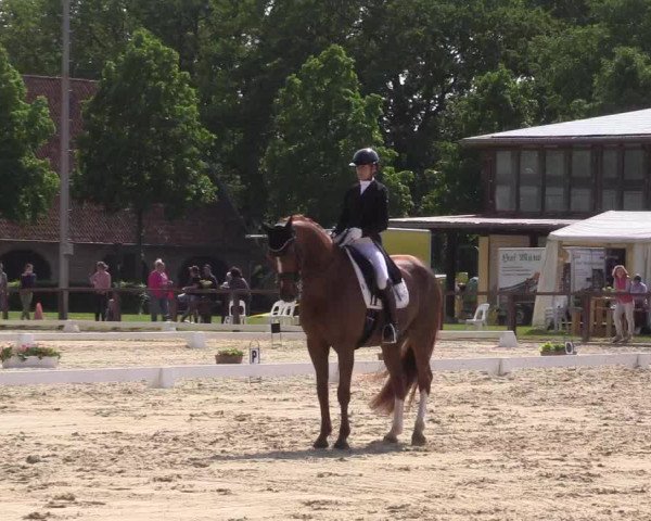 Reitturnier Everswinkel 2023