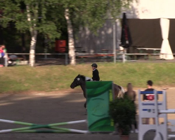 Reitturnier Lgl.-Oberhain 2023