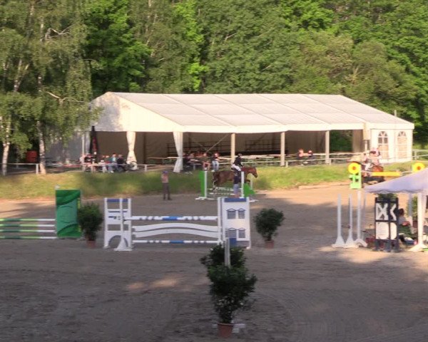 Reitturnier Lgl.-Oberhain 2023