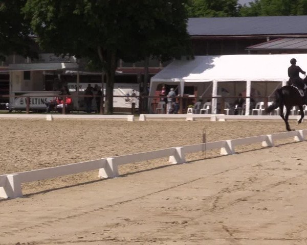 Reitturnier Everswinkel 2023