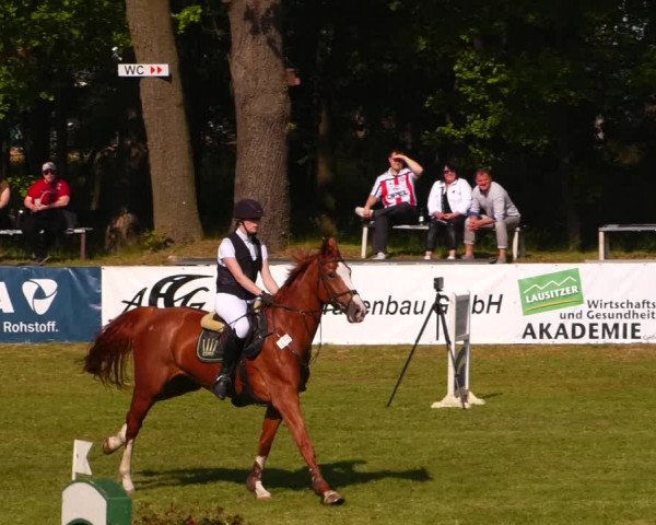 Reitturnier Cottbus-Sielow 2023