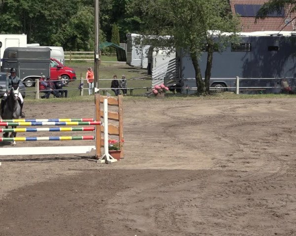 Reitturnier Mettingen 2023