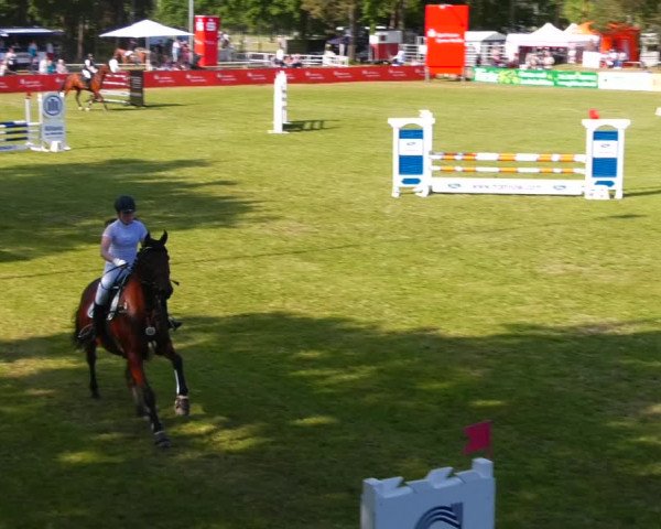 Reitturnier Cottbus-Sielow 2023