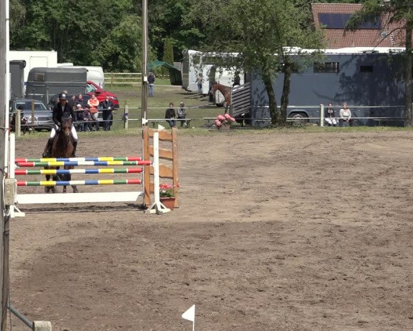 Reitturnier Mettingen 2023