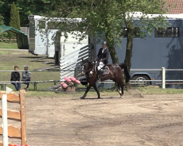 Reitturnier Mettingen 2023