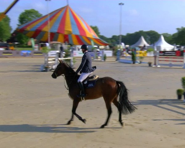 Reitturnier Borken Reitanlage Sportpferde Ehning 2023