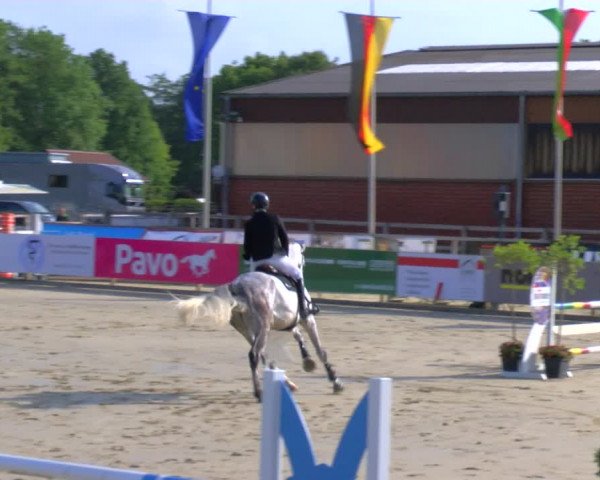 Reitturnier Borken Reitanlage Sportpferde Ehning 2023