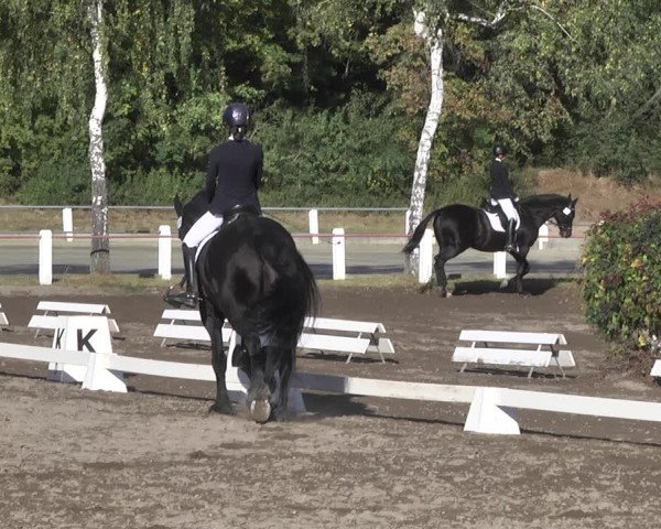 Reitturnier Forst 2021