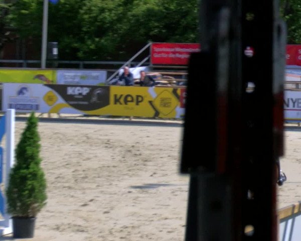 Reitturnier Borken Reitanlage Sportpferde Ehning 2023
