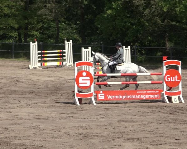 Reitturnier Mettingen 2023